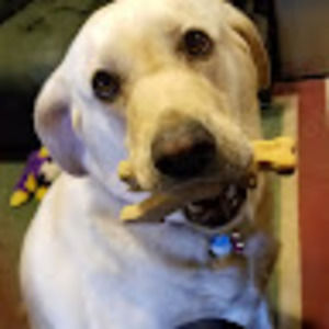 Meet your Posher, Patricia